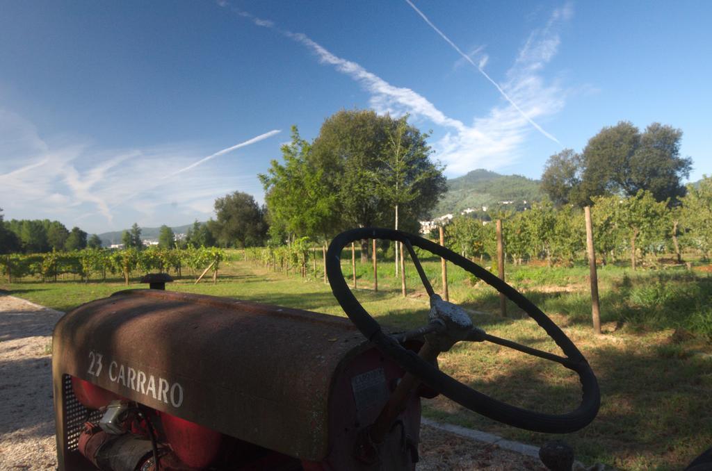 1720 Quinta Da Cancela - Winery & Farmhouse Guimaraes Luaran gambar